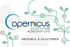 Copernicus Ecosystem Workshop