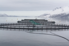 aquaculture